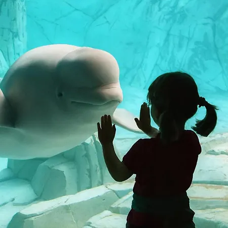 Acquamarina A Due Passi Dai Traghetti Pensión